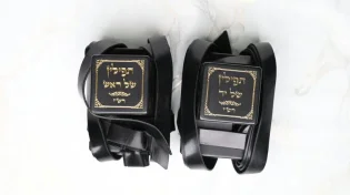 7 שנים לאחר שאבדו בנמל התעופה בניו יורק: זוג תפילין נמצא על ידי גויה