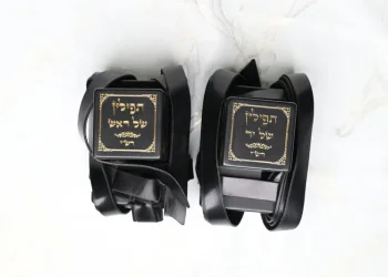 7 שנים לאחר שאבדו בנמל התעופה בניו יורק: זוג תפילין נמצא על ידי גויה