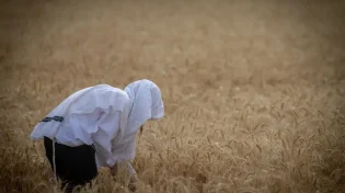 "ה' יתברך עושה לנו ניסיונות מהסיבה הזו"