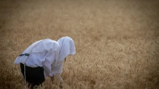 "ה' יתברך עושה לנו ניסיונות מהסיבה הזו"