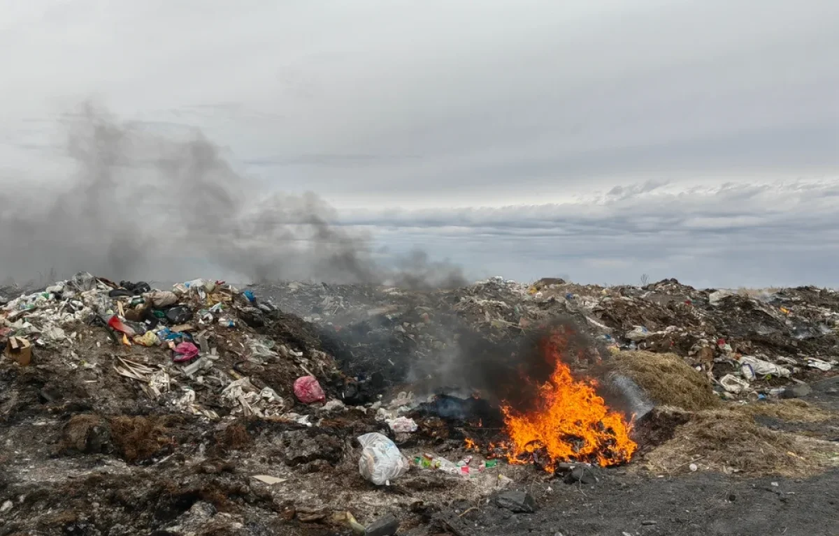 טרור מהאויר: כך מזהמים את ישראל - ואין מי שיעצור את זה