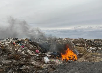 טרור מהאויר: כך מזהמים את ישראל - ואין מי שיעצור את זה