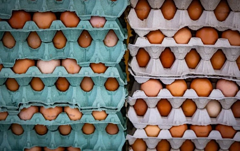 החל מנובמבר - עליית מחירים נוספת במדף הרגיש בישראל החל מנובמבר - עליית מחירים נוספת במדף הרגיש בישראל