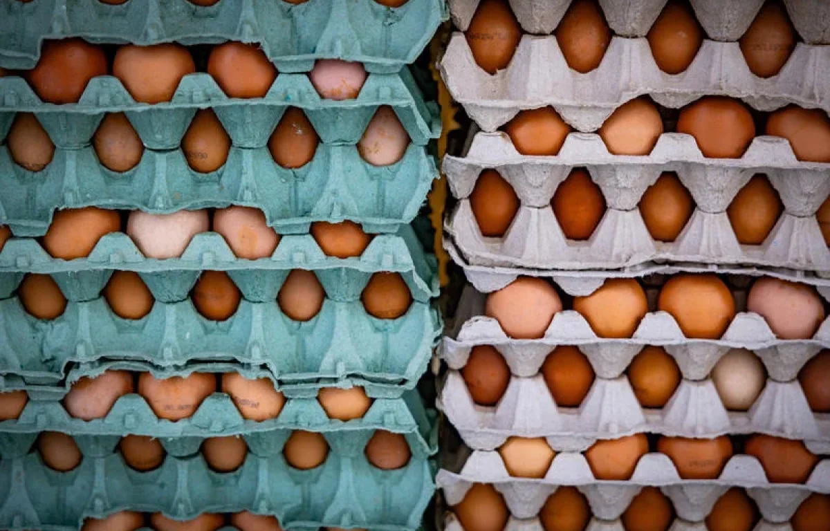 החל מנובמבר - עליית מחירים נוספת במדף הרגיש בישראל