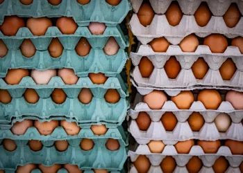 החל מנובמבר - עליית מחירים נוספת במדף הרגיש בישראל