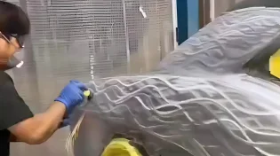 כשהצביעה פוגשת את האומנות: תיעוד נדיר של תהליך שעולה הון
