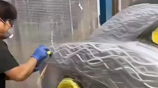 כשהצביעה פוגשת את האומנות: תיעוד נדיר של תהליך שעולה הון
