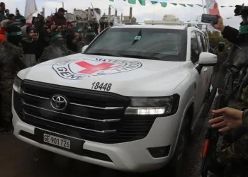 במאמץ לאיתור החטופים החללים: הצלב האדום נכנס לרפיח