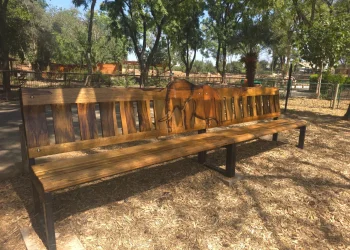 הספסלים בספארי לזכרם של כפיר ואריאל ביבס הי"ד הספסלים בספארי לזכרם של כפיר ואריאל ביבס הי"ד