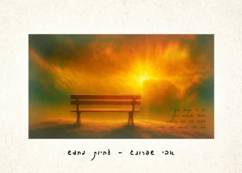 אבי שפרונג - "לחיות מחדש"