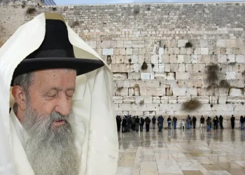 שכחתי לומר ברך עלינו בתפילה מה עושים עכשיו?!