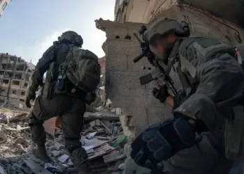 מחפשים אחר חללים: ישראל מאפשרת לחמאס לערוך חיפושים בגזרת צה"ל