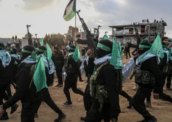 דיווח זר: חמאס בתהליך חילוץ של 7-9 גופות חטופים 