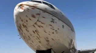 נתפס בעדשה: ברגע ההמראה להקת ציפורים פגעה במטוס | כך זה נראה