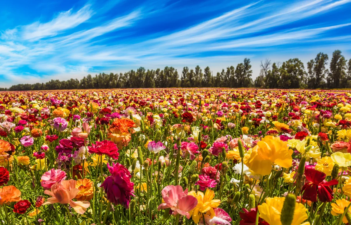  ירידה זמנית בטמפרטורות, התחממות לקראת סוף השבוע