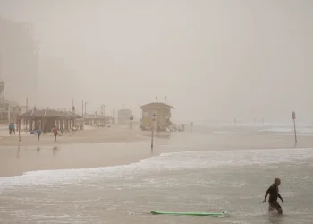 אזהרה מהרחם: אוויר מזוהם בהריון עלול לפגוע בהתפתחות מערכת העצבים של העובר