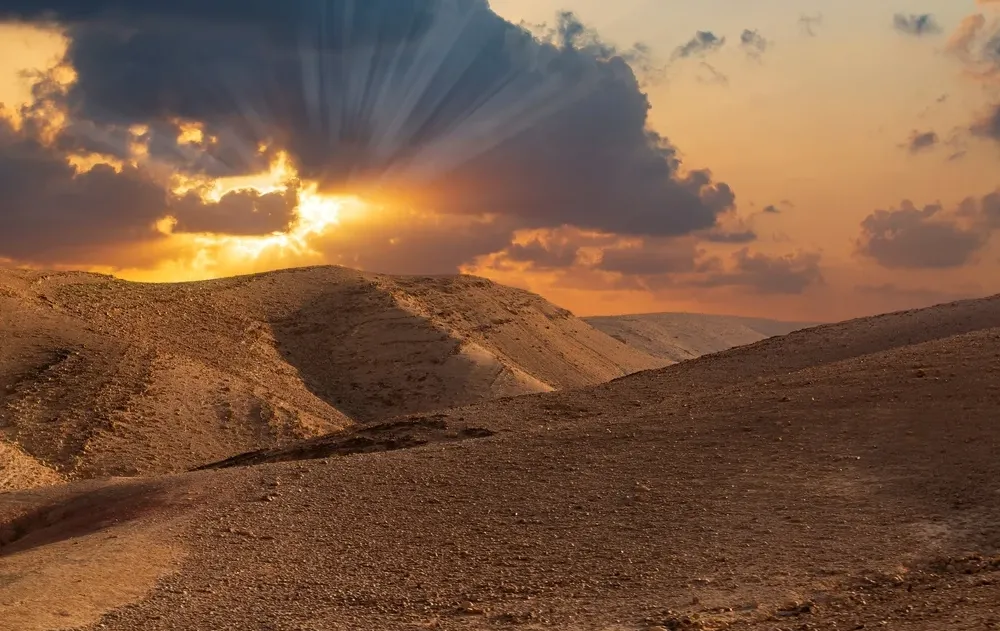 הסתיו עוד לא התחיל, והשרב כבר כאן