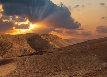 הסתיו עוד לא התחיל, והשרב כבר כאן