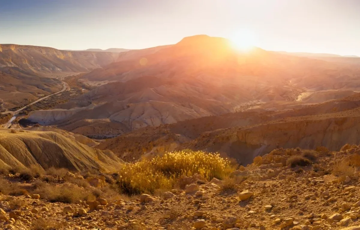 הסתיו כבר כאן? אולי בלוח השנה - אבל התחזית אומרת אחרת