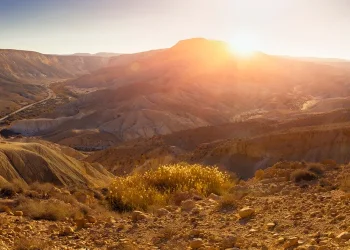 הסתיו כבר כאן? אולי בלוח השנה - אבל התחזית אומרת אחרת