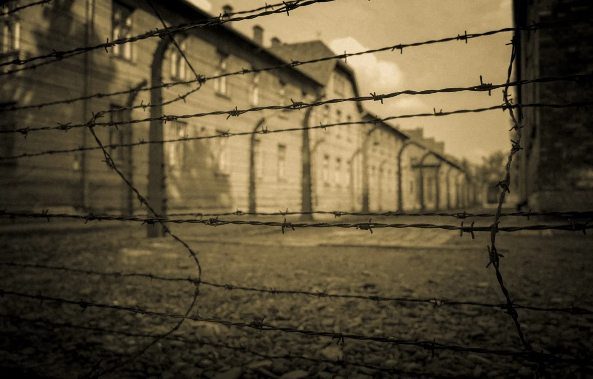 "יש לי כאן ילד בן 3", נשמע לפתע קולה של האישה במחנה הריכוז