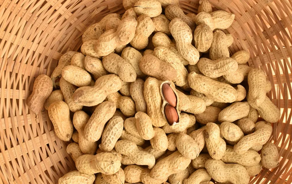 מחקר חדש: מה יקרה אם תחשפו את הפעוטות שלכם לבוטנים?