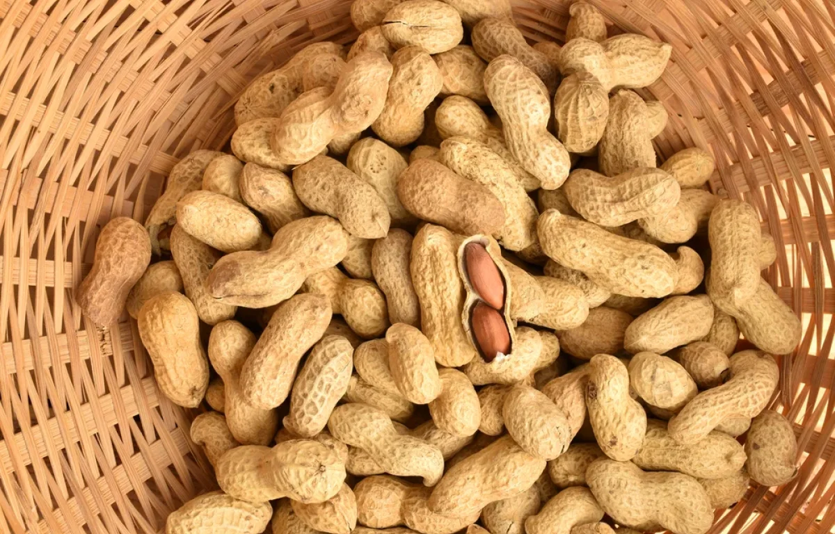 מחקר חדש: מה יקרה אם תחשפו את הפעוטות שלכם לבוטנים? מחקר חדש: מה יקרה אם תחשפו את הפעוטות שלכם לבוטנים?