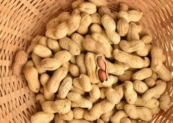 מחקר חדש: מה יקרה אם תחשפו את הפעוטות שלכם לבוטנים? מחקר חדש: מה יקרה אם תחשפו את הפעוטות שלכם לבוטנים?