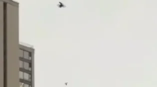 רחפן סיני תועד צד באוויר מטרה זרה