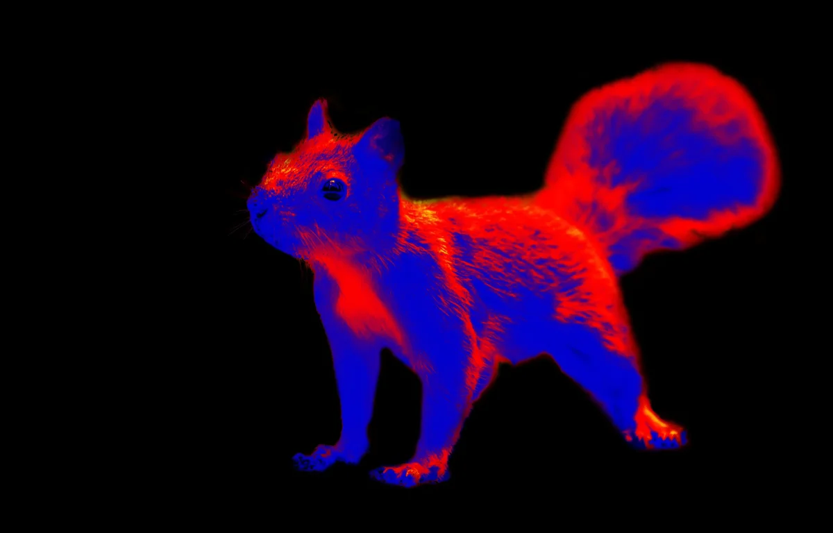 המוח היהודי: כך פיתוח יהודי גרם למצלמה לראות דרך חושך מוחלט