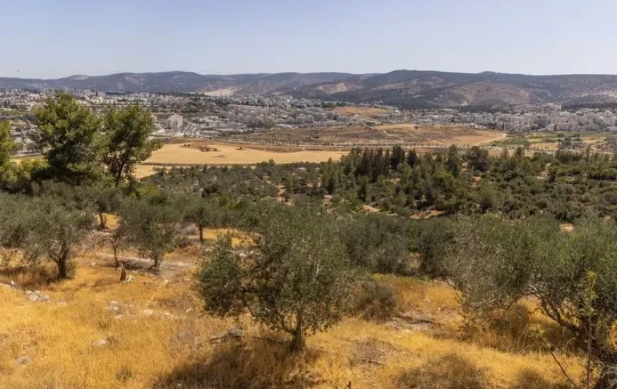 רוצים שהחום יסתלק? עוד טיפה וזה עובר. זו תחזית מזג האוויר לשבוע