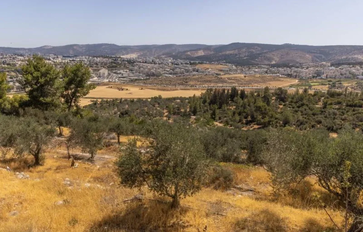 רוצים שהחום יסתלק? עוד טיפה וזה עובר. זו תחזית מזג האוויר לשבוע