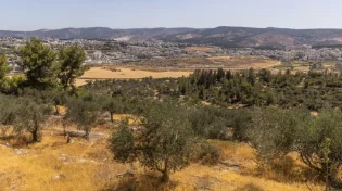 רוצים שהחום יסתלק? עוד טיפה וזה עובר. זו תחזית מזג האוויר לשבוע