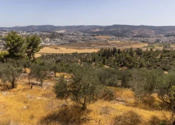 רוצים שהחום יסתלק? עוד טיפה וזה עובר. זו תחזית מזג האוויר לשבוע