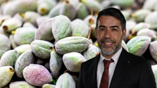 מפתיע?! ייתכן שאסור לאכול את השקדים הירוקים שאתם קונים