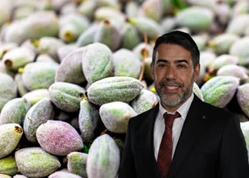 מפתיע?! ייתכן שאסור לאכול את השקדים הירוקים שאתם קונים