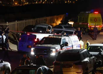 סערה סביב מבצע החיפושים: המשטרה שוקלת לתבוע את הפצ"רית לשעבר