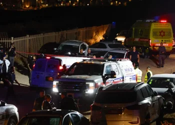 במקום בבית במשפט - בזום: הבקשה של הפצ"רית לשעבר 