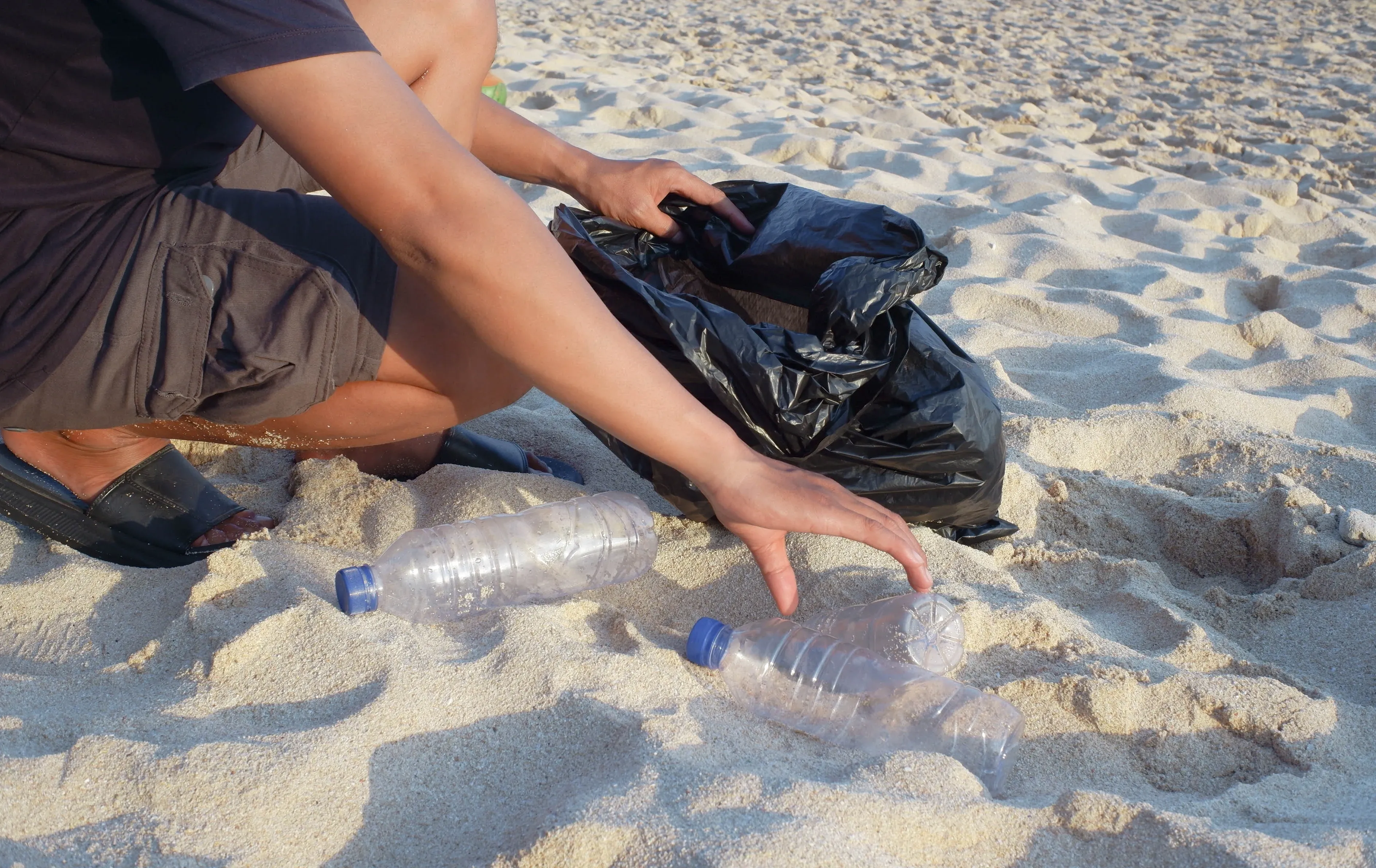 הפחיות שהפכו לבית: צעיר אוסטרלי אסף 450 אלף מכלי משקה וקנה דירה