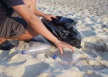 הפחיות שהפכו לבית: צעיר אוסטרלי אסף 450 אלף מכלי משקה וקנה דירה