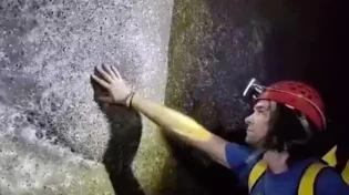 ברית לא טבעית: מה גרם לעכבישים "להתנהג כמו בני אדם"?