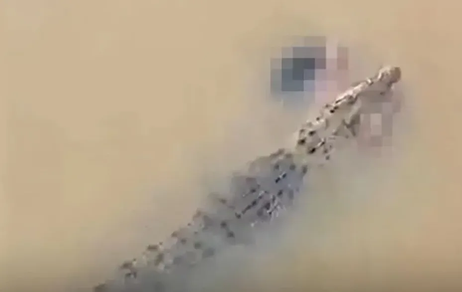 זעזוע בהודו: אישה בת 57 נטרפה על ידי תנין בעת ששחתה בנהר זעזוע בהודו: אישה בת 57 נטרפה על ידי תנין בעת ששחתה בנהר