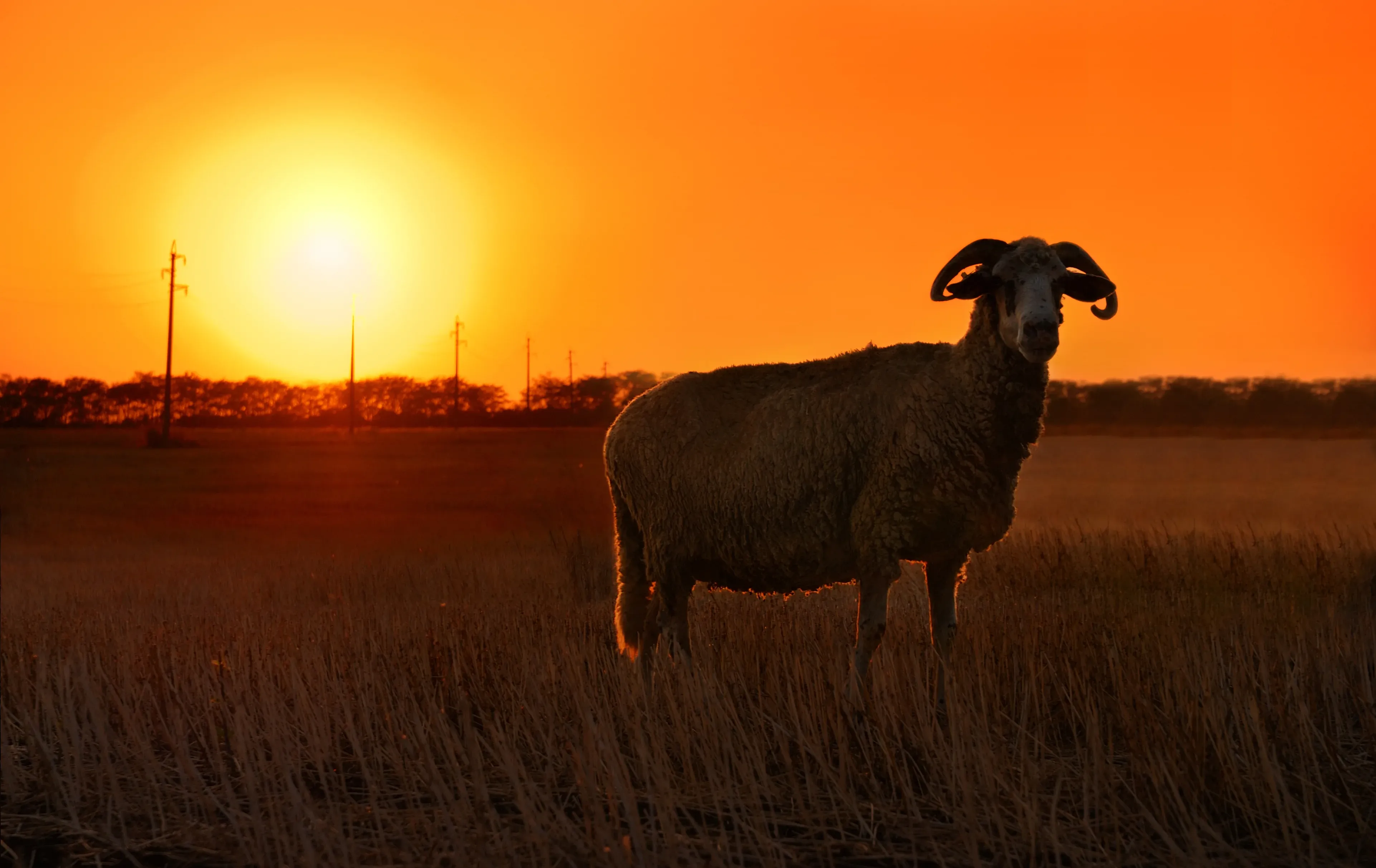 מה הסוד לתיקון המזל ואיך עקדת יצחק קשורה לזה גם היום מה הסוד לתיקון המזל ואיך עקדת יצחק קשורה לזה גם היום