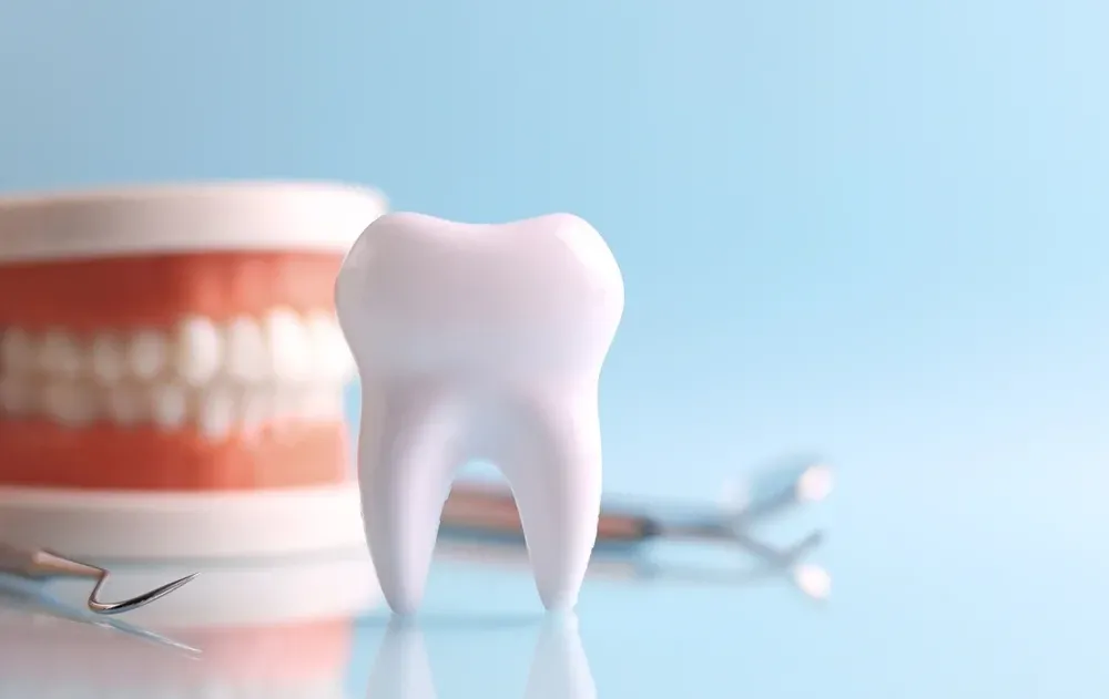 חיוך לבן? זה לא רק עניין של צחצוח: המזונות שעלולים לפגוע בשיניים חיוך לבן? זה לא רק עניין של צחצוח: המזונות שעלולים לפגוע בשיניים