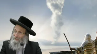 הרב אלימלך בידרמן: כשתבין את זה, תדע איפה נמצא הזיווג שלך