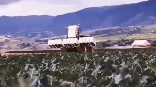 בלי טיפה של ריסוס: רובוט חדש מחסל עשבים בלייזר ובמהירות שלא תיאמן