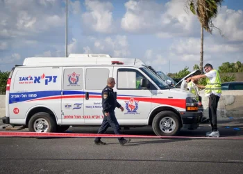 400 הרוגים על הכבישים: מספר הקורבנות ממשיך לעלות