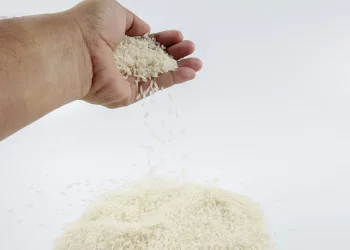 בדיקת אורז בדיקת אורז