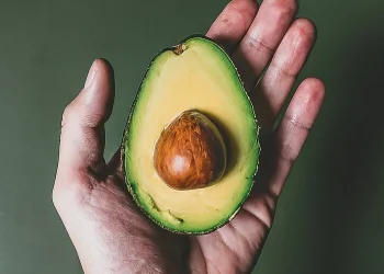 משנים את חוקי המשחק: קליפת האבוקדו נכנסת לצלחת - ואתם חייבים להבין למה
