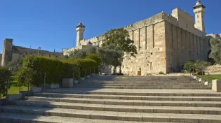 מה עומד מאחורי הנדיבות? השיעור המפתיע שעפרון החתי מלמד אותנו עד היום